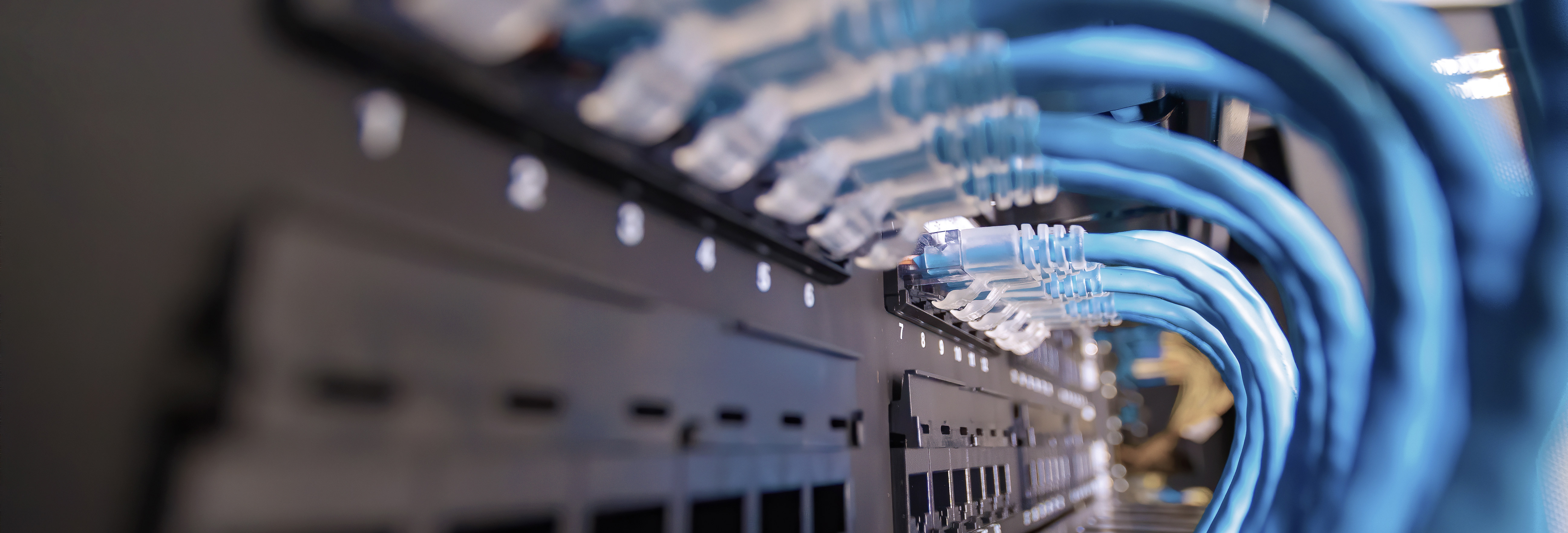 close-up of multiple cables connected to the back of high performance servers in network server room